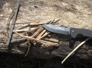 woods 020.jpg