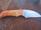 hawkbill (3).jpg