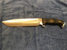 Busse NMFSH LE 75  A.jpg