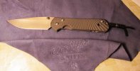 Large Wilson Combat Starbenza.jpg