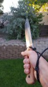 20170708_065046.jpg