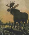 moosepic-768x909.jpg