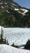 IMG_4716.PNG