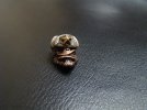 DSC05986.JPG