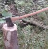 20170720_094309.jpg