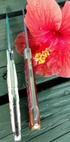 IMG_20170720_201346.jpg