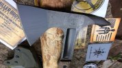 IMG_1170.JPG