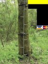 millenium ladder.jpg