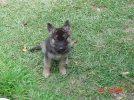 DSC08169.jpg