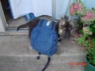 DSC08214.jpg