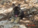 DSC08235.jpg