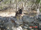 DSC08252.jpg