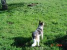 DSC02367.jpg