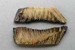 tooth root side 2.jpg