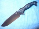 Busse HOGFSH 001.jpg