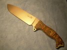 Busse HOGFSH DC & SS.jpg