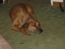 DSC00309.jpg