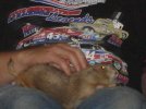 DSC00303.jpg