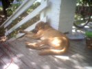 jedi sleeping.jpg
