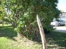 Picture 144.jpg
