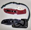 Endura and Trainer 2.jpg