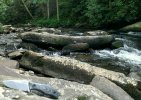 IMG_20170729_204346.jpg