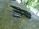 IMG_20170731_155047.jpg
