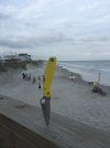 IMG_0869.JPG