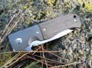 customcqc7_1.jpg