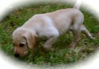 IMG_1429.jpg