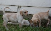 IMG_1424.jpg