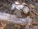 DSCF0007.jpg