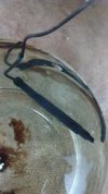 IMG_20170810_111411742.jpg
