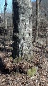 IMG_20170224_115716_617_zps3dg1ca8f.jpg IMG_20170224_115716_617_zps3dg1ca8f.jpg