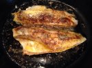 IMG_1733.JPG