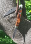 Boker Pen wood .jpg