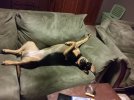 20160721_212948_HDR.jpg