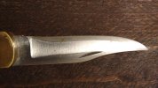IMG_20170819_220356933.jpg