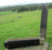 AW Ebony Lambsfoot 12-2.JPG