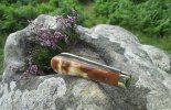 A.Wright SB Large Lambsfoot 8-9.jpg
