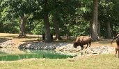 IMG_8856.jpg
