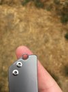 IMG_4533.JPG