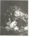 SAOT June 92 Pg17.jpg