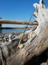 Resized_20170722_090010(1).jpeg
