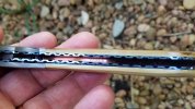 20170830_081036.jpg