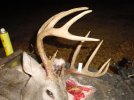 500 ac 11 pt 005.jpg
