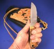 Labrador with side carry sheath 014.jpg