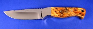Labrador with side carry sheath 005.jpg