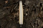 Royer Explosive Fighter scales.jpg