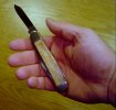 Copperhead 4a.jpg